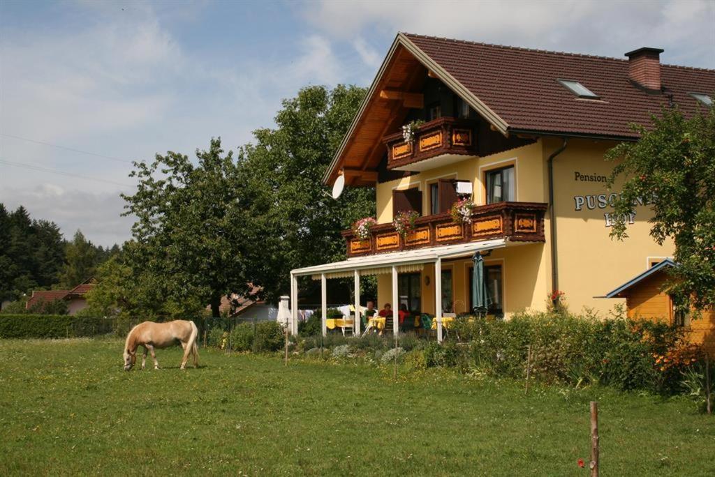 Bauernhof-Pension Puschnikhof Unternarrach Экстерьер фото