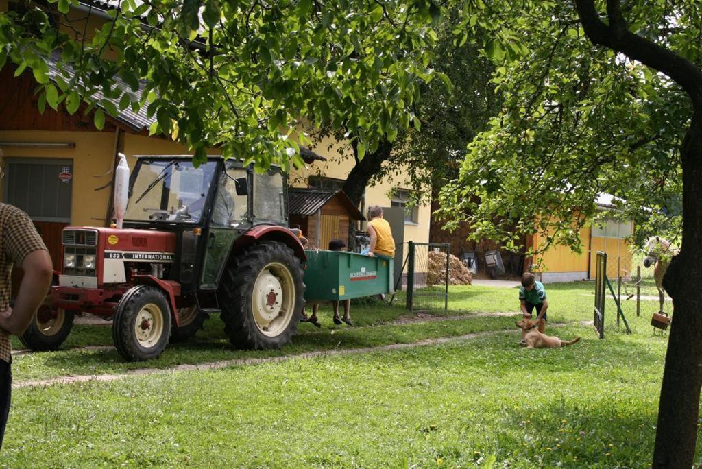 Bauernhof-Pension Puschnikhof Unternarrach Экстерьер фото