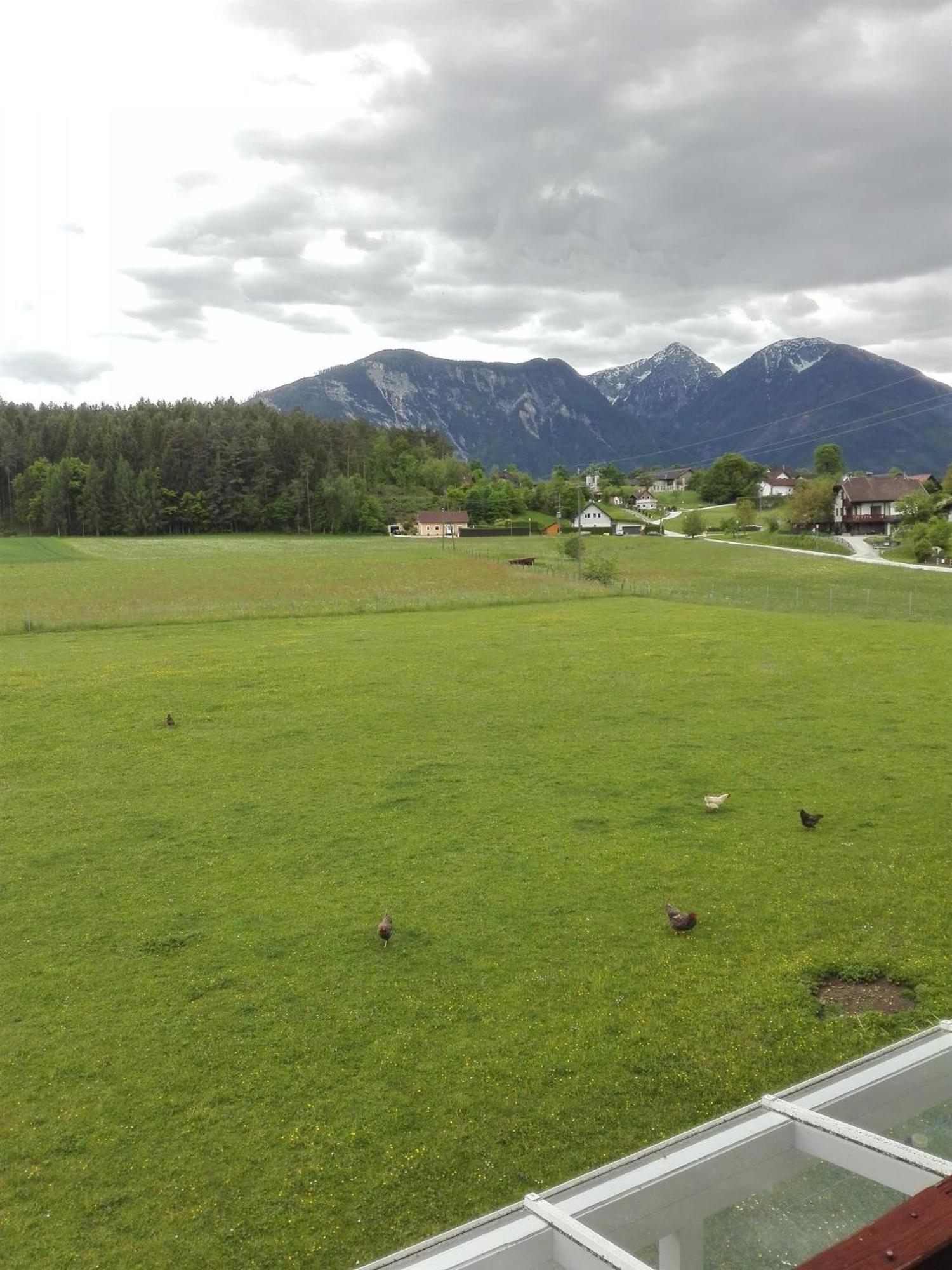Bauernhof-Pension Puschnikhof Unternarrach Экстерьер фото